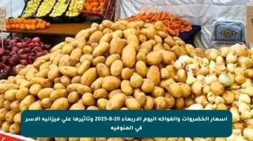 أسعار الخضروات والفواكه اليوم الأربعاء 20-8-2025 وتأثيرها على ميزانية الأسر في المنوفية